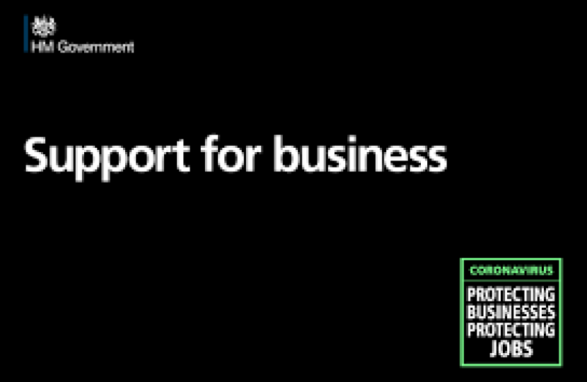 GOVERNMENT GRAPHIC: "Support for businesses"
